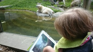 Lea zeigt den Eisbären auf ihrem Ipad